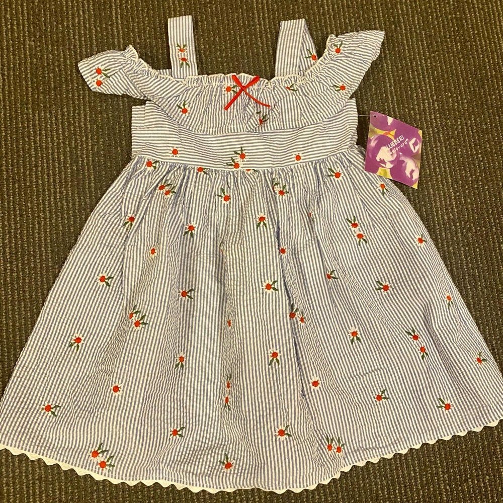 Blueberi Toddler Girl Dress Size 3T